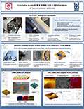 Correlative in-situ AFM & SEM & EDX & EBSD analysis