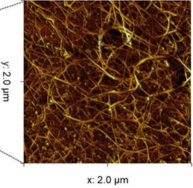 AFSEM image of silicon micro-pillar surface obtained in non-contact mode. (Figure 2) High-resolution AFM image of the micro-pillar surface decorated with nano-wire network.