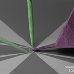 FusionScope and Kleindiek Nanomanipulators